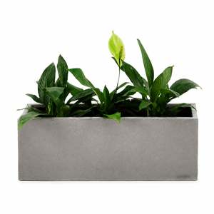 Outdoor Planters Pots: BLOK Concrete Rectangle Trough Planter
