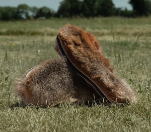 Products: Possum Innersole