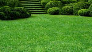 Products: Seacliff Lawn Care Bundle