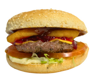 Premium Beef Burger
