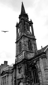 Products: Fringe Patrol - TeMuri