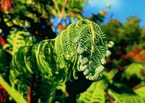 Green Caterpillar - TeMuri