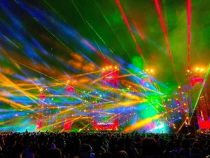 Products: Rave Up - TeMuri