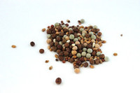 Products: Premium Pigeon Breeder Mix - Seed and Feed