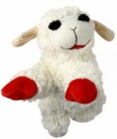 Products: Lamb Chop 25cm - Seed and Feed