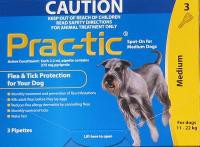 Products: Prac-tic Medium Dog - Seed and Feed