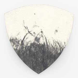 On Closer Inspection by Belinda Griffiths