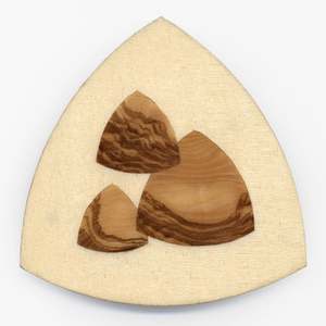 Cam 1 by Rick Allender