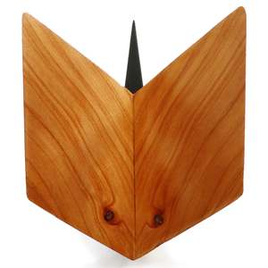 Macrocarpa by Rick Allender