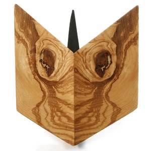 Silver Silkwood 3 by Rick Allender