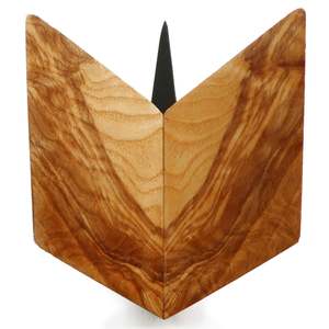 Rick Allender Butterfiles: Silver Silkwood 2 by Rick Allender