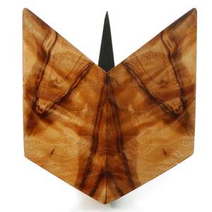 Rick Allender Butterfiles: Silver Silkwood 1 by Rick Allender