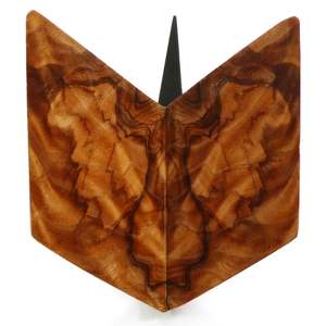 Rick Allender Butterfiles: Silver Silkwood 4 by Rick Allender