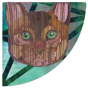 Sarah Williams Cats Of New Zealand: Toss by Sarah Williams