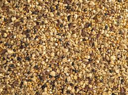 Products: QUAIL MIX – Seeds & Cereals (2000)