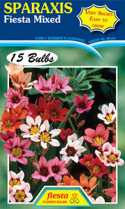 SPARAXIS FLOWER BULBS – Seeds & Cereals (2000)