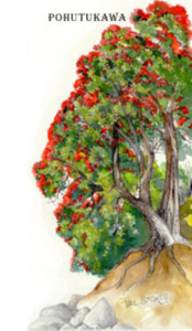 Self Heals Native Herbal Tinctures: Pohutukawa  Tincture 1:5 100ml