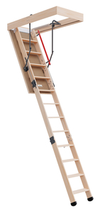 Products: D30 Attic Ladder