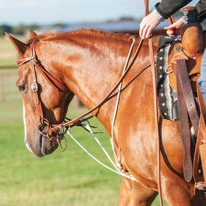 Horse Tack: Martin String Martingale