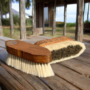 Eco Horse: Eco Dust Buster Brush
