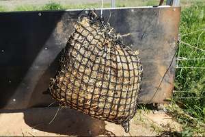 Products: Gutzbusta Medium Knotless Hay Net