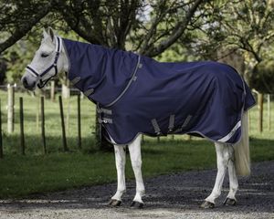 Products: Cavallino Gen4 Detach a Neck Turnout Rug 220gm