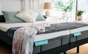 Products: Titanium Mattress with Cloud Adjustable Base