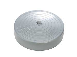 Gross Motor: Stability Wheel