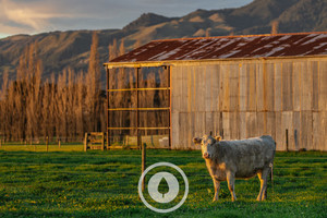 Products: Autumn Canvas Sentient Imagery