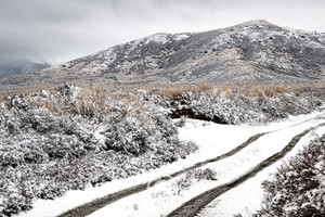High Country Snow Cover Sentient Imagery