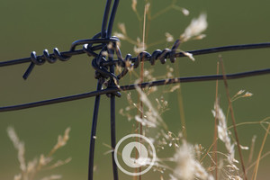 Canterbury Fence Knots Sentient Imagery A symbol of kiwi ingenuity, number 8 wir&hellip;
