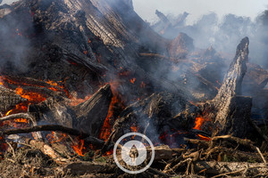 Smoke + Fire Sentient Imagery