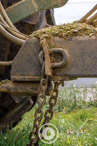 Post Harvest Maize Meal Sentient Imagery