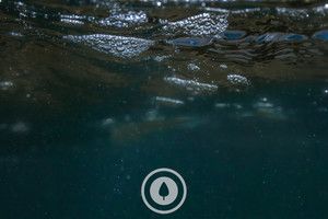 Products: Bubbles + Blue Sentient Imagery A spot of turbidity captured in an underwater scene with families of bubbles floating on the surface