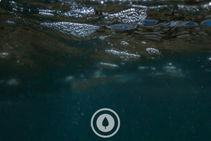 Products: Bubbles + Blue Sentient Imagery A spot of turbidity captured in an underwater scene with families of bubbles floating on the surface