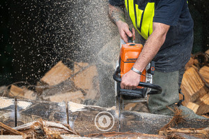 Products: A Chainsaw Frontal Sentient Imagery