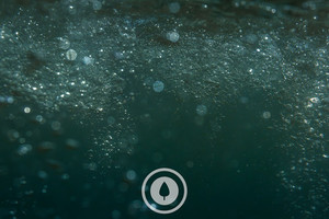Products: Bubbles + Bokeh Sentient Imagery
