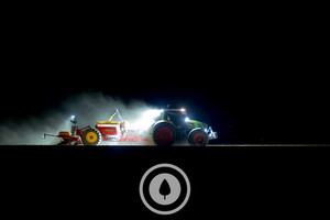 Maize Into the Night Sentient Imagery