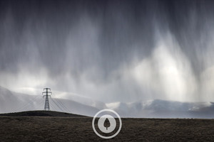 Products: Rains Descending Sentient Imagery