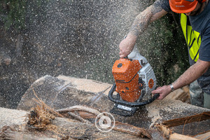 Chainsaw + Spray Sentient Imagery