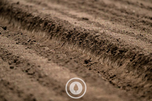 Products: Leading Soil Lines Sentient Imagery