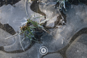 Products: Pasture Locked in Ice Sentient Imagery