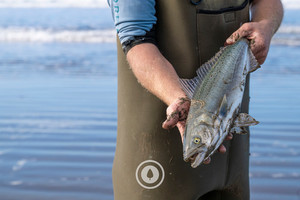 Products: Kahawai Catch Sentient Imagery