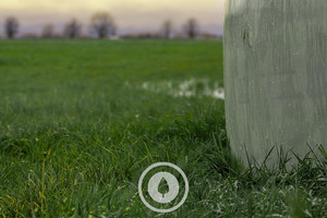 Silage at Sunrise Sentient Imagery