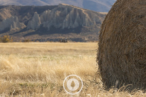Products: Where Hay Meets Clay Sentient Imagery