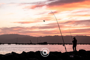 Products: Lines Out at Sunset Sentient Imagery