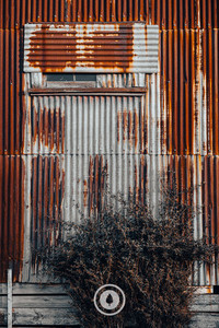 Products: An Iron Dynasty Sentient Imagery