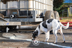 Products: Spilt Milk Sentient Imagery