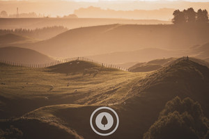 Products: The Long Shadows at Dusk Sentient Imagery