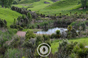 Products: Riparian Oasis Sentient Imagery